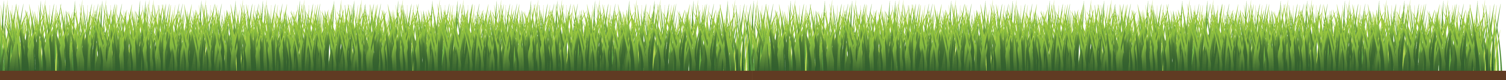 Grass